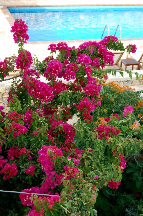Aeolos Hotel Koufonisia Екстериор снимка